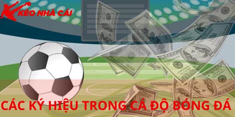 Cập Nhật Tất Tần Tật Các Ký Hiệu Trong Cá Độ Bóng Đá - bản quyền Kèo Nhà Cái 5 Các ký hiệu trong cá độ bóng đá kèo Châu Á