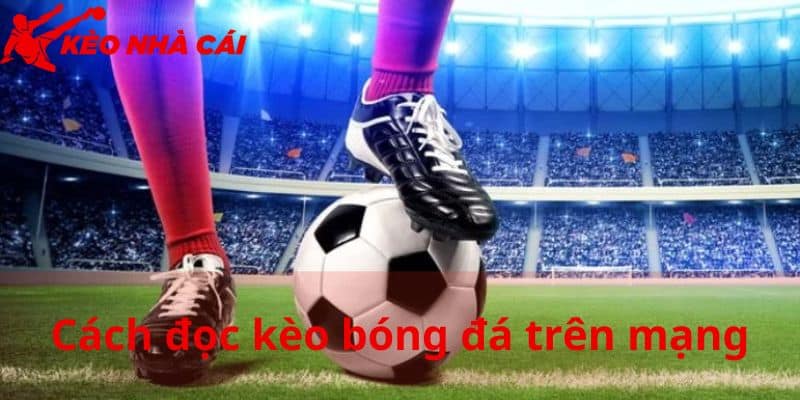 Cách Đọc Kèo Bóng Đá Trên Mạng Chuẩn Xác Cho Mọi Người - bản quyền Kèo Nhà Cái 5 Cách đọc kèo bóng đá trên mạng hình thức cược châu Á