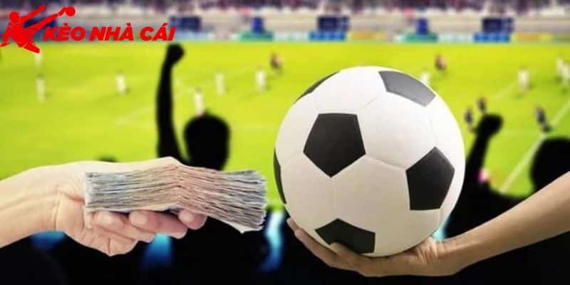 Cập Nhật Tất Tần Tật Các Ký Hiệu Trong Cá Độ Bóng Đá - bản quyền Kèo Nhà Cái 5 Kèo Châu Âu cùng các ký hiệu trong cá độ bóng đá