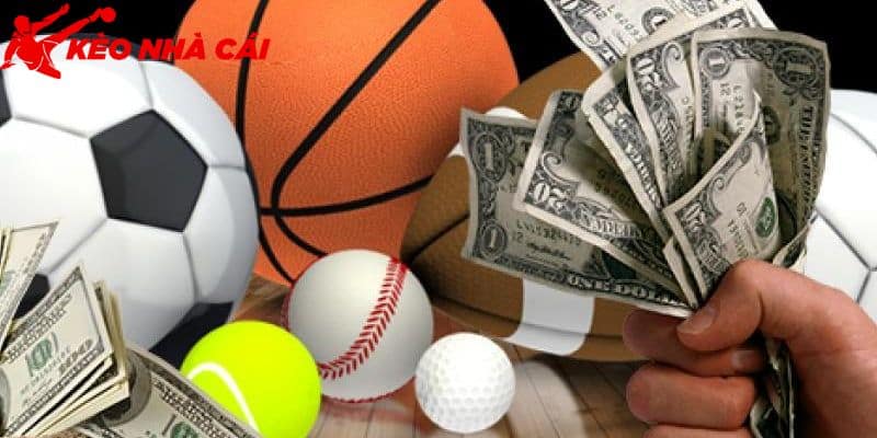 Sự Thật Về 8xbet Uy Tín Hay Lừa Đảo Dành Cho Người Chơi - bản quyền Kèo Nhà Cái 5 Làm rõ nội dung về 8xbet uy tín hay lừa đảo