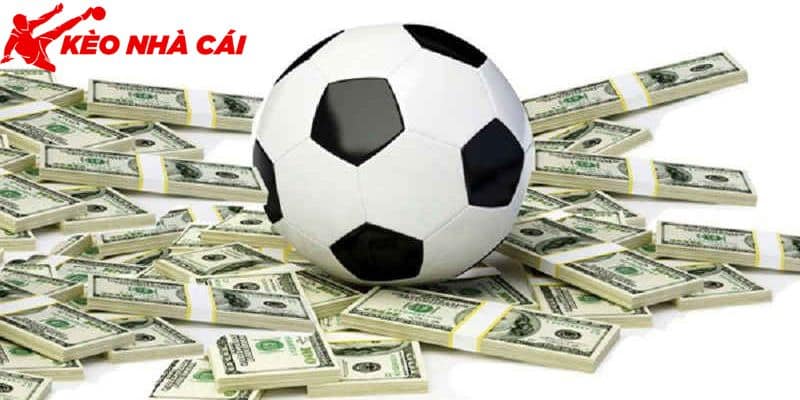 Chia Sẻ Cách Chơi Cá Độ Bóng Đá Online Cho Tân Thủ Mới - bản quyền Kèo Nhà Cái 5 Một số mẹo chơi hay