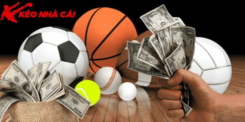 Chia Sẻ Cách Chơi Cá Độ Bóng Đá Online Cho Tân Thủ Mới - bản quyền Kèo Nhà Cái 5 Tham gia đơn giản
