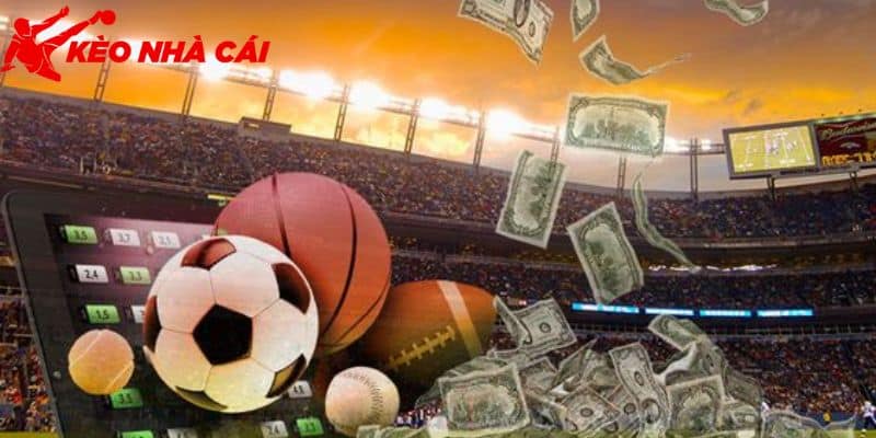 Chia Sẻ Cách Chơi Cá Độ Bóng Đá Online Cho Tân Thủ Mới - bản quyền Kèo Nhà Cái 5 Thông tin cách chơi cá độ bóng đá online
