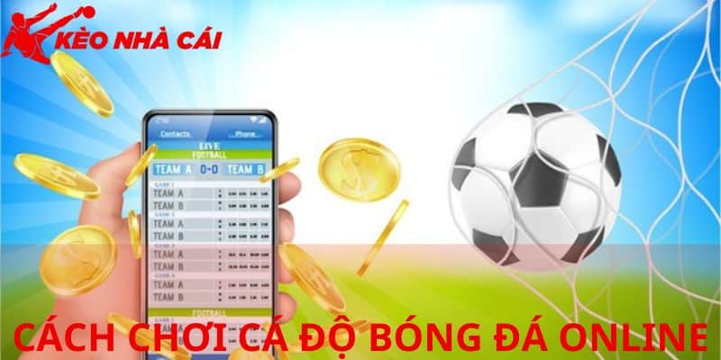 Chia Sẻ Cách Chơi Cá Độ Bóng Đá Online Cho Tân Thủ Mới - bản quyền Kèo Nhà Cái 5 Thông tin cơ bản cá độ bóng đá online