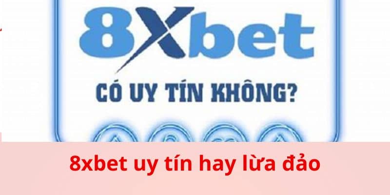Sự Thật Về 8xbet Uy Tín Hay Lừa Đảo Dành Cho Người Chơi - bản quyền Kèo Nhà Cái 5 Tổng quan sơ bộ về nhà cái 8xbet