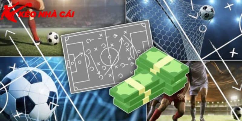 Giải Đáp 789Bet Uy Tín Hay lừa Đảo Dành Cho Hội Viên - bản quyền Kèo Nhà Cái 5 Trang giả mạo gây thắc mắc về 789Bet uy tín hay lừa đảo