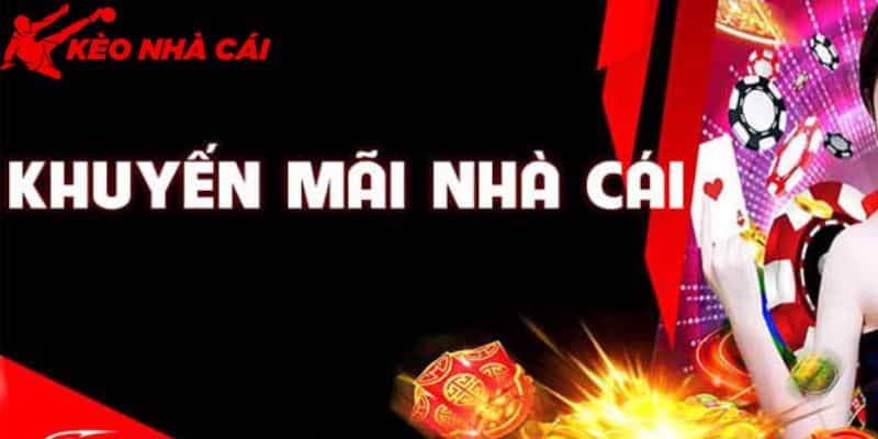 Sự Giải Đáp Về Tin Đồn W88 Lừa Đảo Và Gian Dối Khi Cá Cược - bản quyền Kèo Nhà Cái 5 Không được hưởng nhiều khuyến mãi đã làm dấy lên tin đồn về nơi này